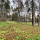 Hamburgas iela 2a, Rīga